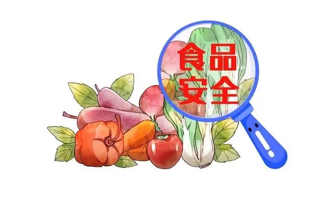 規范食品添加劑的使用并保證其安全性