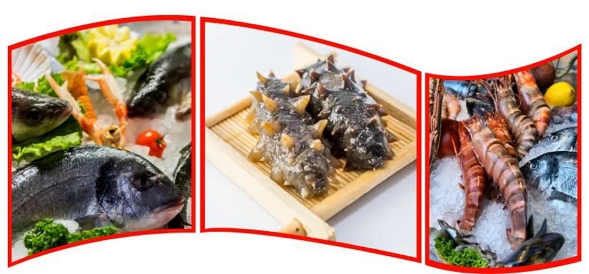 重金屬污染影響時，可能對人體健康帶來潛在危害